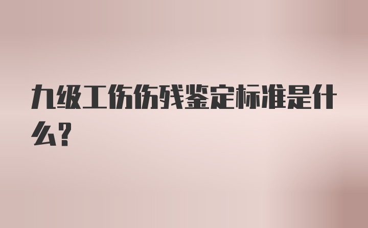 九级工伤伤残鉴定标准是什么?