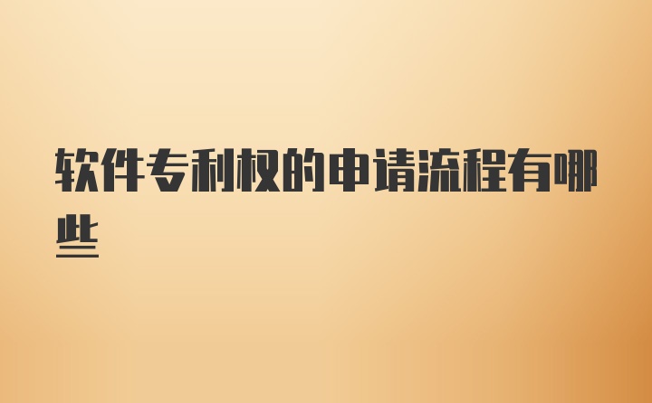 软件专利权的申请流程有哪些