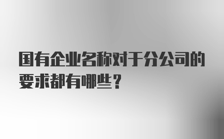 国有企业名称对于分公司的要求都有哪些？