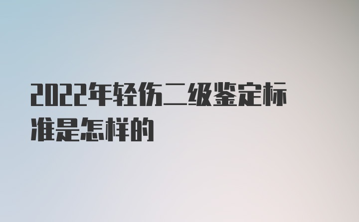 2022年轻伤二级鉴定标准是怎样的