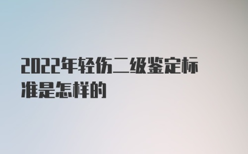 2022年轻伤二级鉴定标准是怎样的