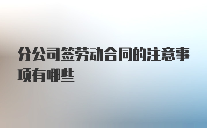 分公司签劳动合同的注意事项有哪些