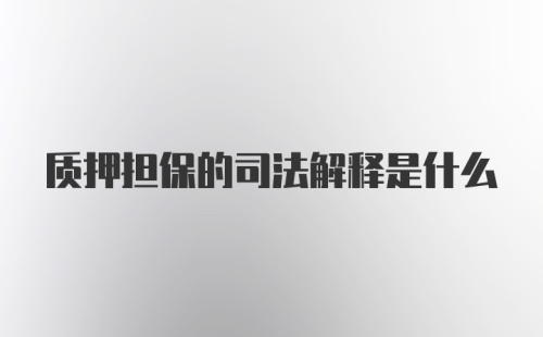 质押担保的司法解释是什么