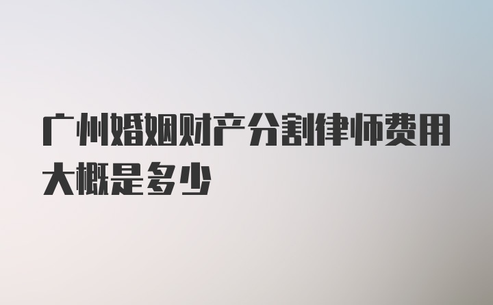 广州婚姻财产分割律师费用大概是多少