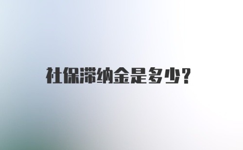 社保滞纳金是多少?