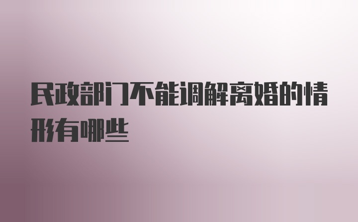 民政部门不能调解离婚的情形有哪些
