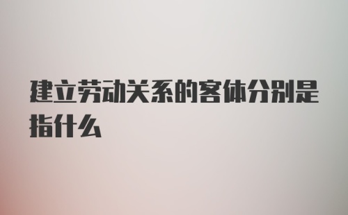 建立劳动关系的客体分别是指什么