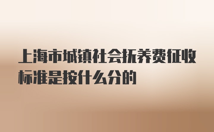 上海市城镇社会抚养费征收标准是按什么分的