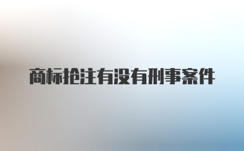 商标抢注有没有刑事案件