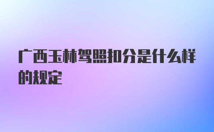 广西玉林驾照扣分是什么样的规定