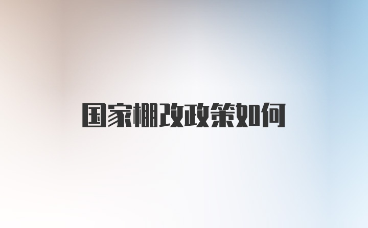 国家棚改政策如何