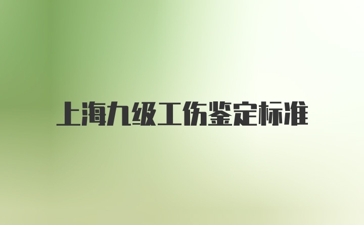 上海九级工伤鉴定标准