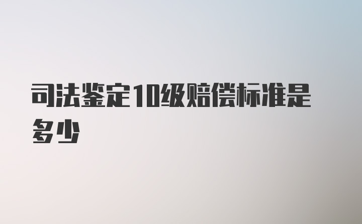 司法鉴定10级赔偿标准是多少