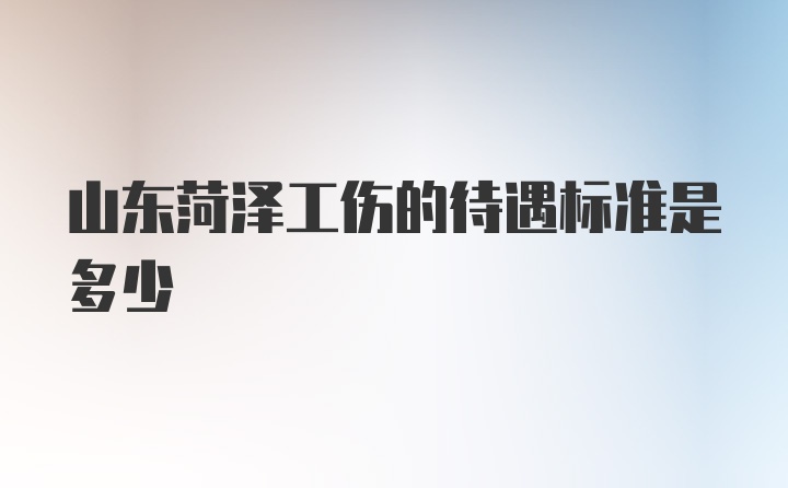 山东菏泽工伤的待遇标准是多少