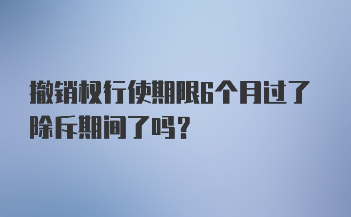 撤销权行使期限6个月过了除斥期间了吗？