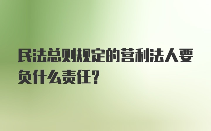 民法总则规定的营利法人要负什么责任？