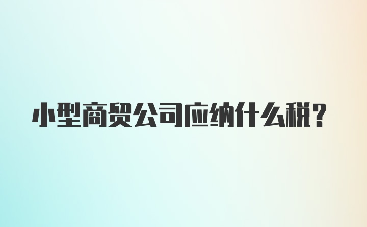 小型商贸公司应纳什么税？