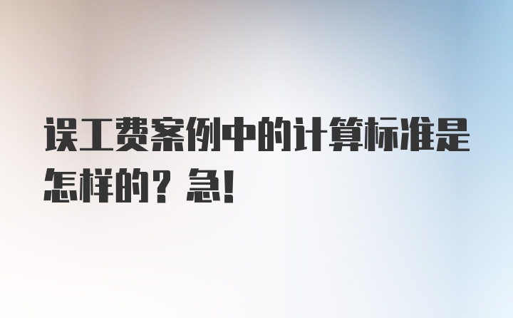 误工费案例中的计算标准是怎样的？急！