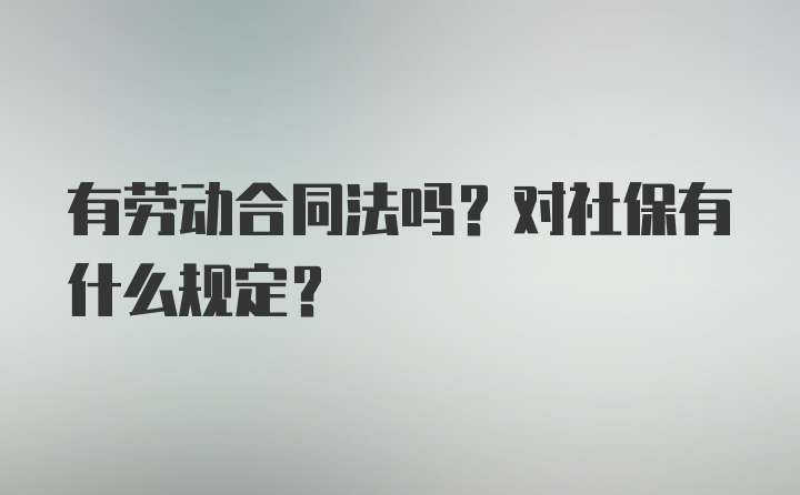 有劳动合同法吗？对社保有什么规定？