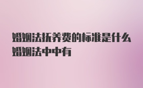 婚姻法抚养费的标准是什么婚姻法中中有