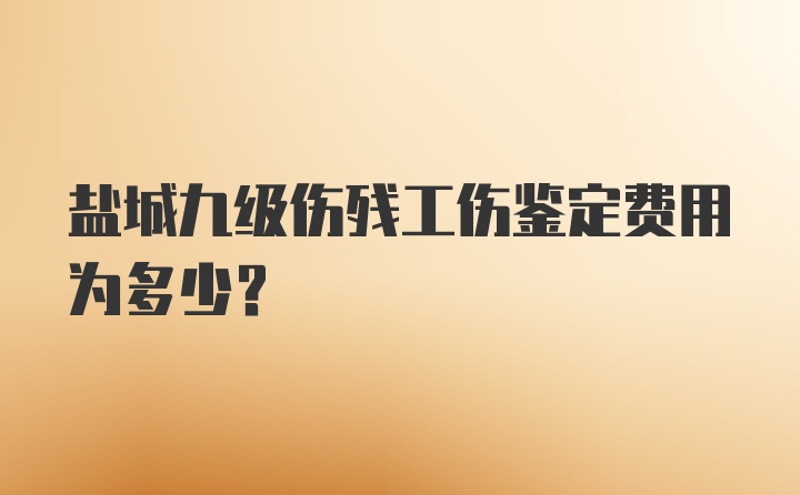 盐城九级伤残工伤鉴定费用为多少？