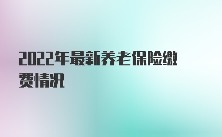 2022年最新养老保险缴费情况