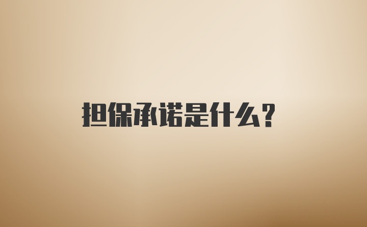 担保承诺是什么？