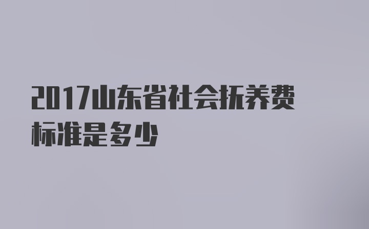 2017山东省社会抚养费标准是多少