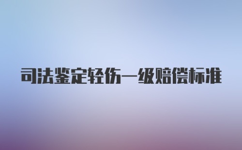 司法鉴定轻伤一级赔偿标准