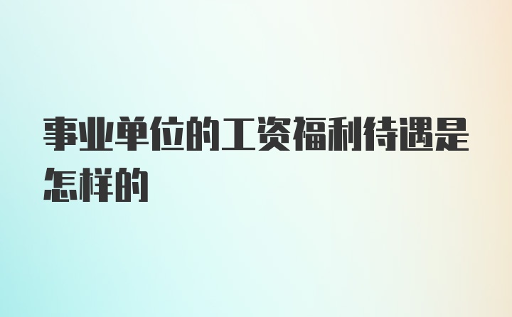 事业单位的工资福利待遇是怎样的