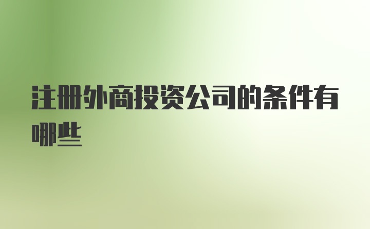 注册外商投资公司的条件有哪些