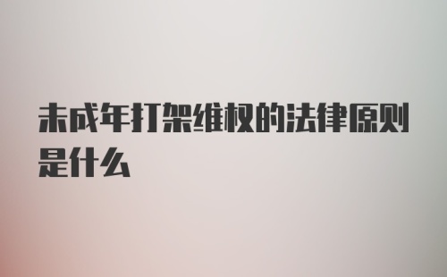 未成年打架维权的法律原则是什么