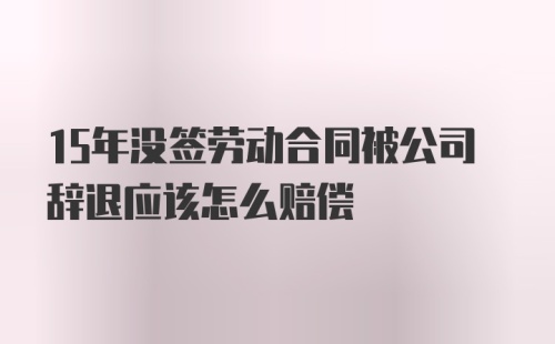 15年没签劳动合同被公司辞退应该怎么赔偿