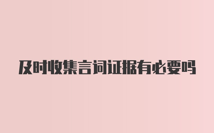 及时收集言词证据有必要吗