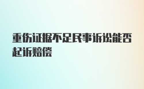 重伤证据不足民事诉讼能否起诉赔偿