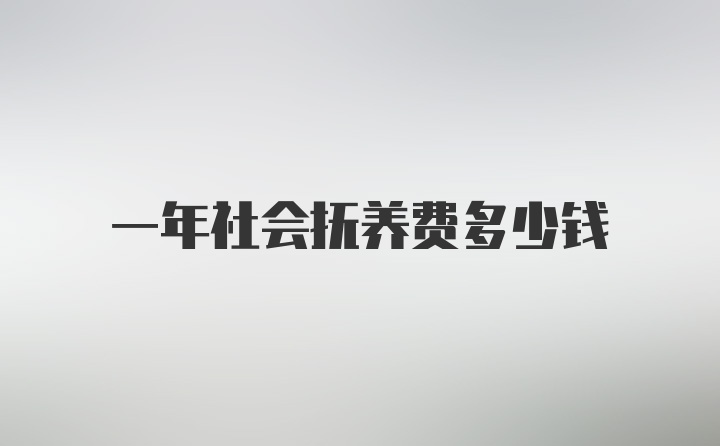 一年社会抚养费多少钱