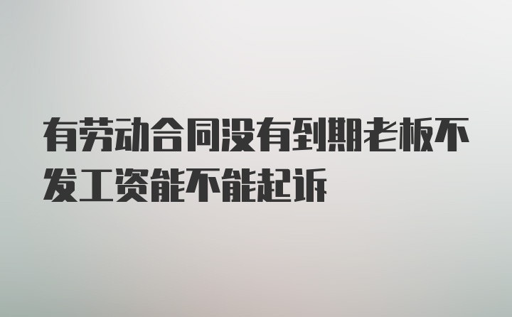 有劳动合同没有到期老板不发工资能不能起诉