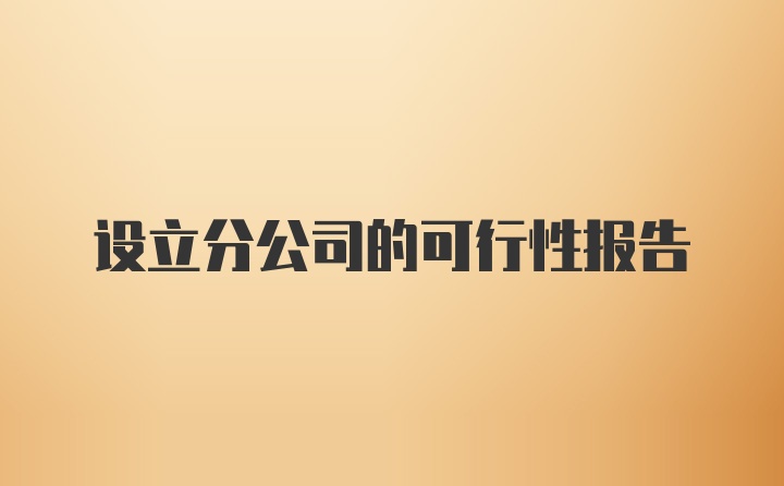 设立分公司的可行性报告