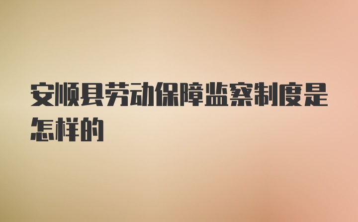 安顺县劳动保障监察制度是怎样的