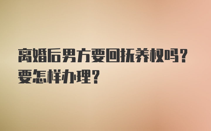 离婚后男方要回抚养权吗？要怎样办理？