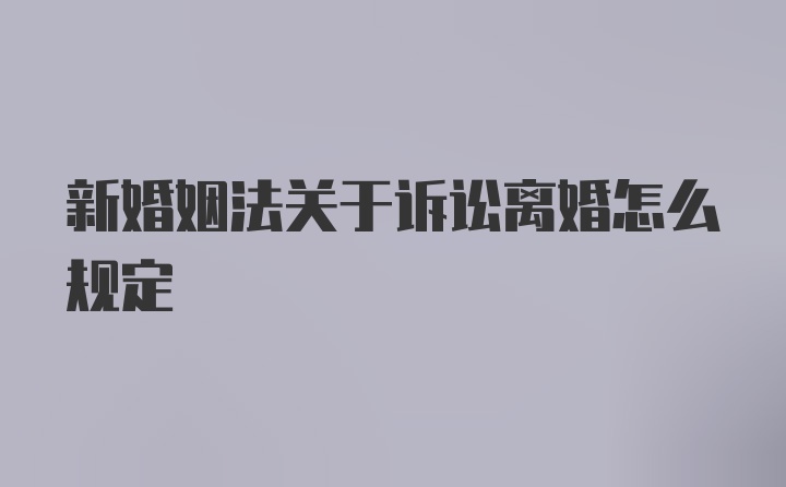 新婚姻法关于诉讼离婚怎么规定