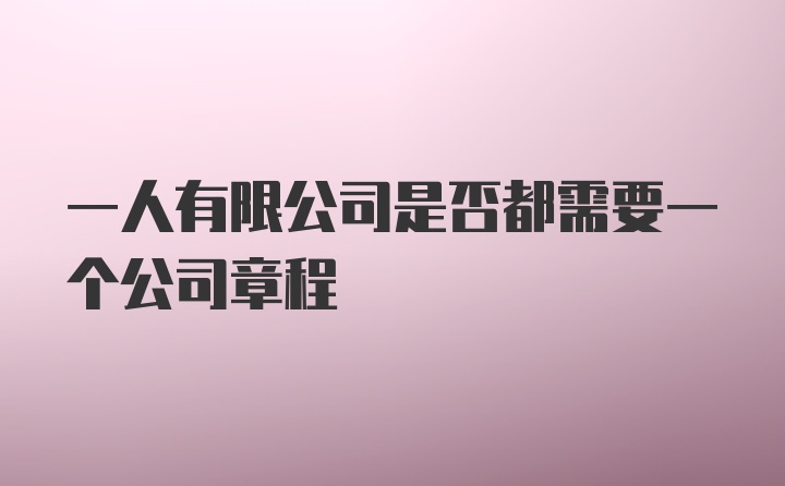 一人有限公司是否都需要一个公司章程