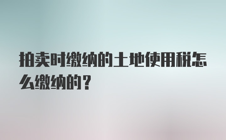 拍卖时缴纳的土地使用税怎么缴纳的？