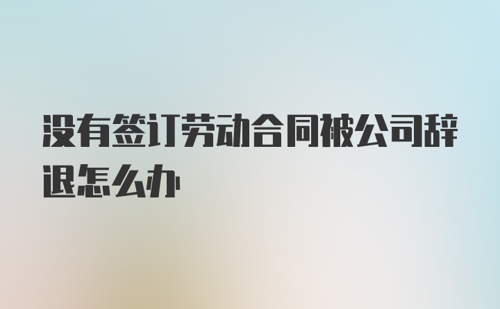 没有签订劳动合同被公司辞退怎么办