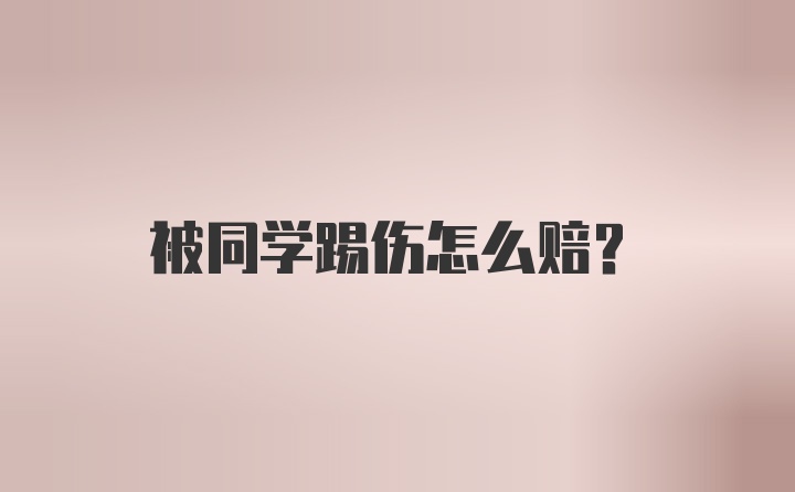 被同学踢伤怎么赔？