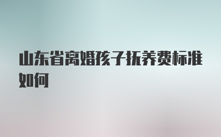 山东省离婚孩子抚养费标准如何