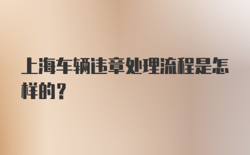 上海车辆违章处理流程是怎样的?