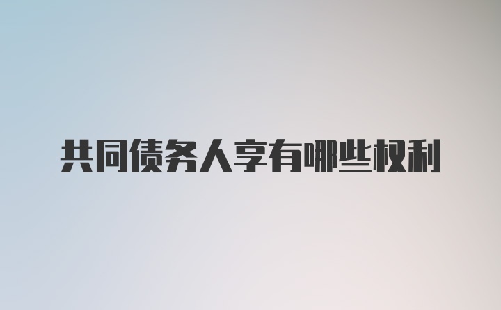 共同债务人享有哪些权利