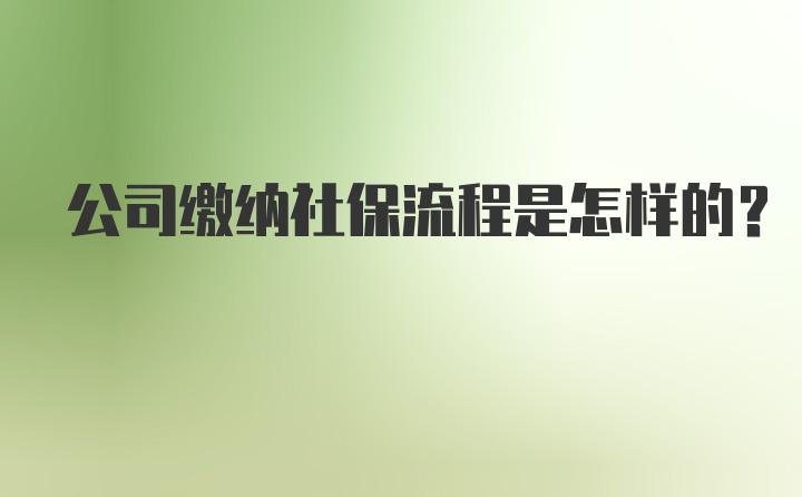 公司缴纳社保流程是怎样的?