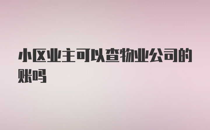 小区业主可以查物业公司的账吗